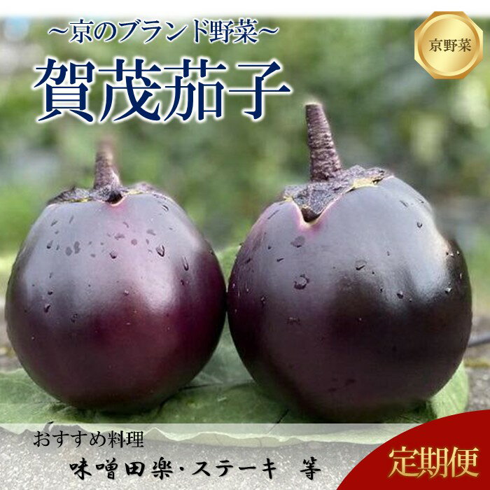 【3回定期便・先行予約特典付き（2026年7・8・9月）】京ブランド野菜・賀茂茄子（かもなす）6個 約1.5kg×3回 | 京野菜 伝統野菜 数量限定 先行予約 先行受付 茄子 ナス なす 賀茂茄子 ステーキ 田楽 グラタン 旬 レシピ 高級 定期便 虹色Farm
