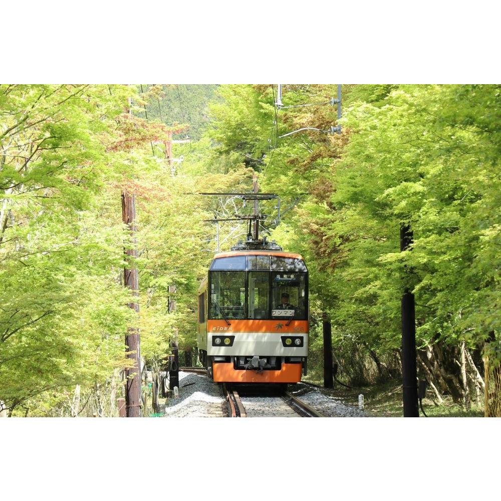 【ふるさと納税】【叡山電車】叡山電車1日乗車券「えぇきっぷ」2枚セット | えいざん 電車 乗車 観光 1日 京都 チケット 券 おすすめ 送料無料 サムネイル3