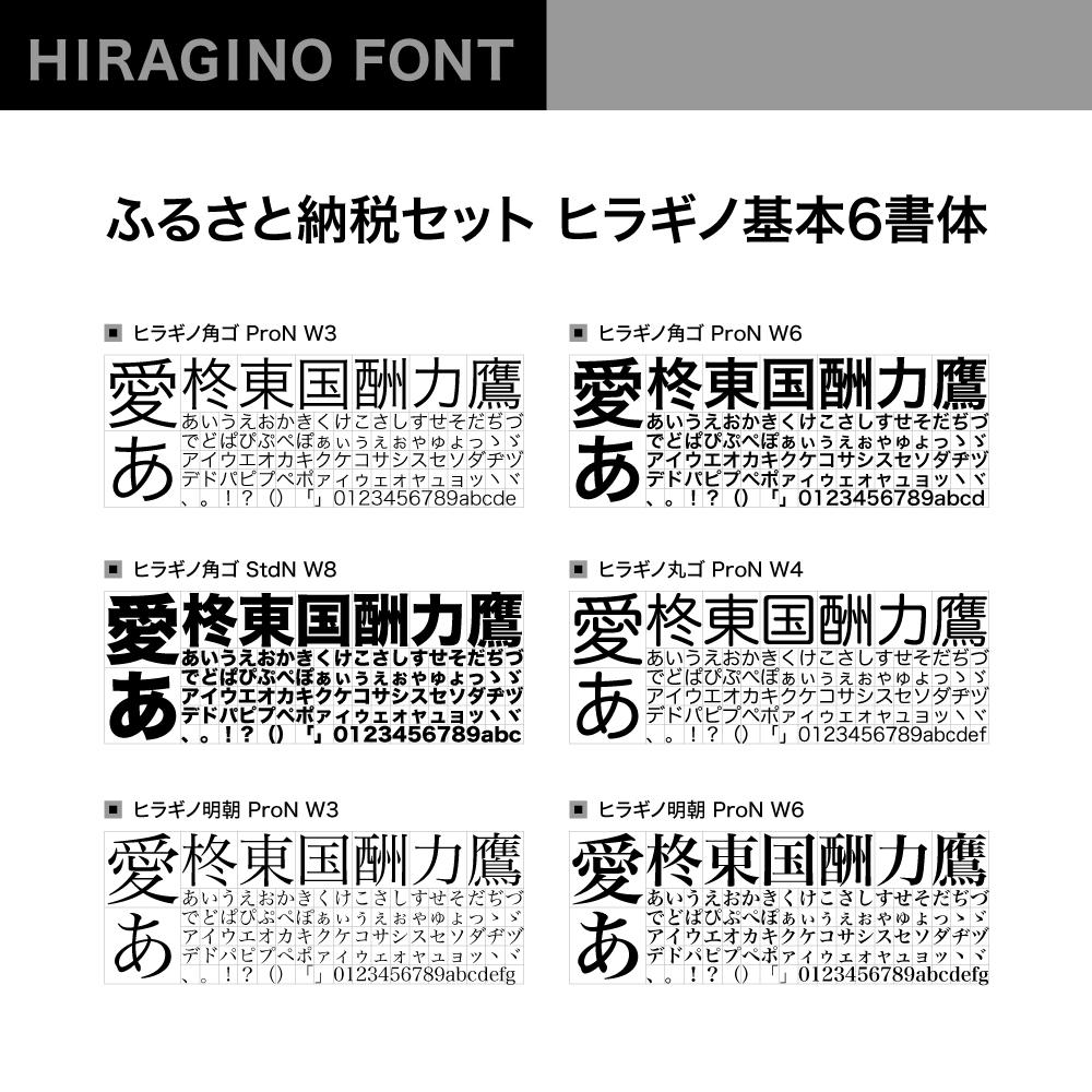 【ふるさと納税】【ヒラギノフォント】ふるさと納税セット ヒラギノ基本6書体（ライセンス版）SCREEN | SCREENグラフィックソリューションズ フォントインストール ヒラギノフォント フォントブランド サムネイル2