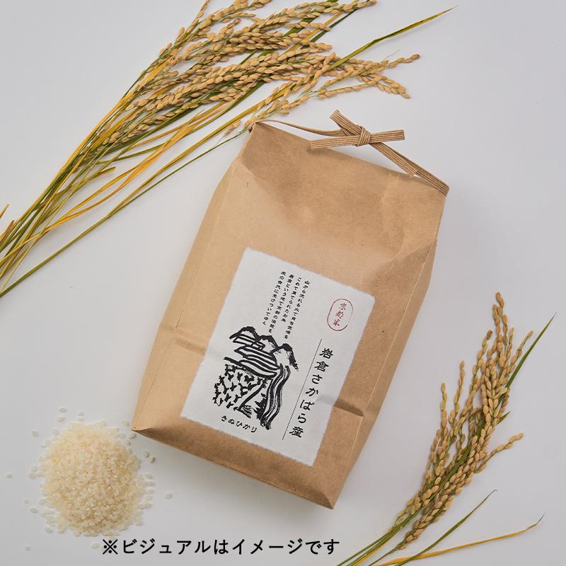 【ふるさと納税】【京都岩倉坂原米作りプロジェクト】〈新米〉京都岩倉さかばら産 きぬひかり(5kg×2袋)［ 京都 グルメ おいしい 人気 おすすめ 米 コメ ギフト プレゼント 贈答 お取り寄せ 通販 送料無料 ふるさと納税 ］ - 画像2