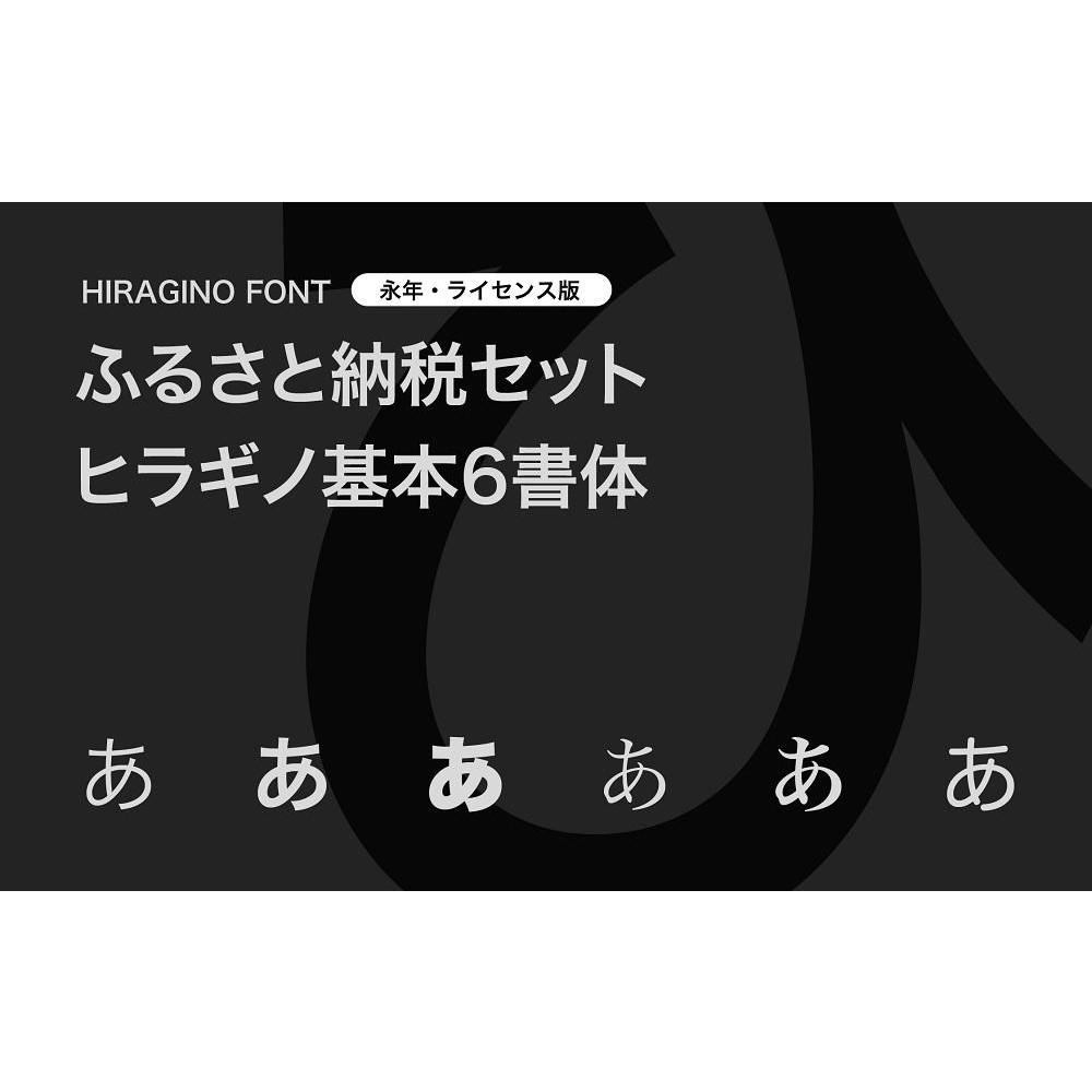 【ヒラギノフォント】ふるさと納税セット ヒラギノ基本6書体（ライセンス版）SCREEN | SCREENグラフィックソリューションズ フォントインストール ヒラギノフォント フォントブランド