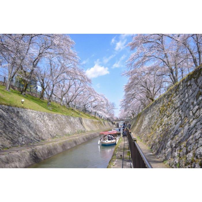 【ふるさと納税】【びわ湖疏水船：三井寺便】春シーズン先行予約権（2名様分の乗船予約の権利） サムネイル2