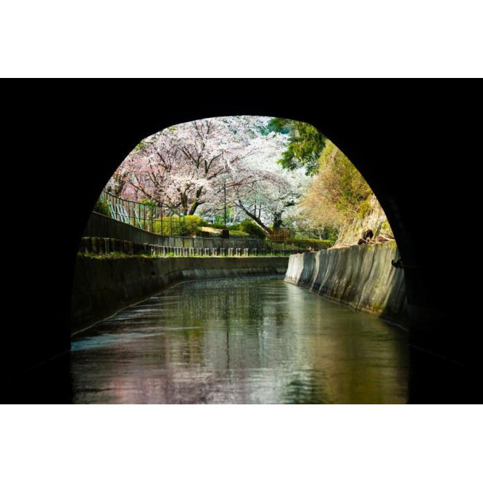 【ふるさと納税】【びわ湖疏水船：三井寺便】春シーズン先行予約権（2名様分の乗船予約の権利） サムネイル3
