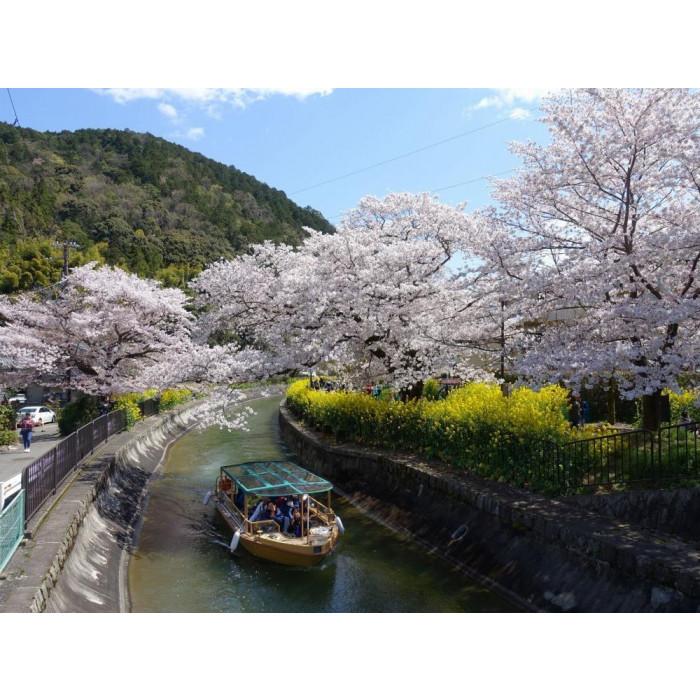 【ふるさと納税】【びわ湖疏水船：びわ湖大津港便】春シーズン先行予約権（1名様分の先行予約の権利と乗船引換券） - 画像3