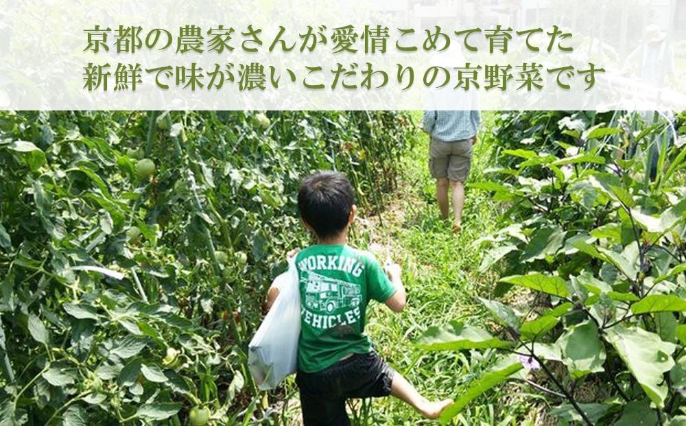 【ふるさと納税】〈4ヶ月定期便〉【アスカ有機農園】旬のこだわり京野菜セットS | 京都 京都市 京都府 野菜 京野菜 旬 季節 新鮮 セット 詰め合わせ 逸品 お取り寄せ グルメ - 画像2