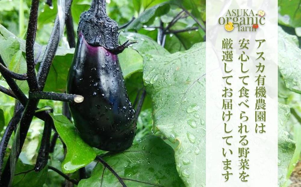 【ふるさと納税】〈4ヶ月定期便〉【アスカ有機農園】旬のこだわり京野菜セットS | 京都 京都市 京都府 野菜 京野菜 旬 季節 新鮮 セット 詰め合わせ 逸品 お取り寄せ グルメ - 画像3