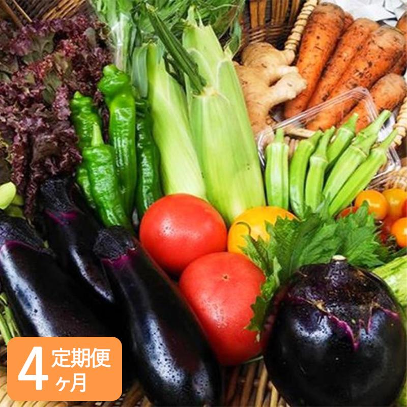 〈4ヶ月定期便〉【アスカ有機農園】旬のこだわり京野菜セットS | 京都 京都市 京都府 野菜 京野菜 旬 季節 新鮮 セット 詰め合わせ 逸品 お取り寄せ グルメ