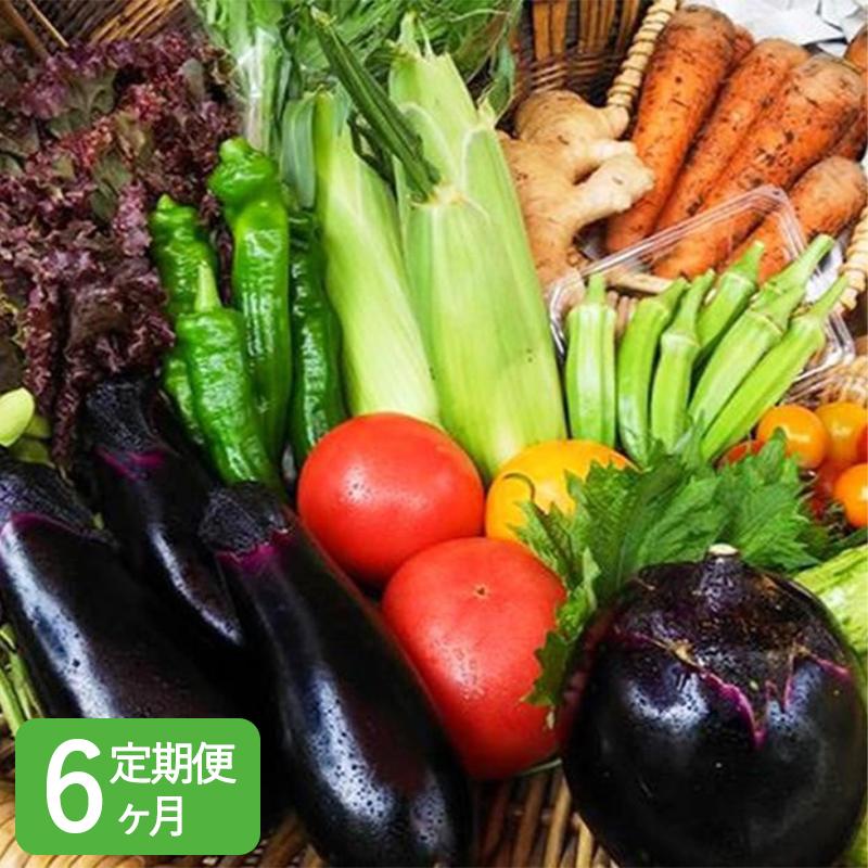 〈6ヶ月定期便〉【アスカ有機農園】旬のこだわり京野菜セットS | 京都 京都市 京都府 野菜 京野菜 旬 季節 新鮮 セット 詰め合わせ 逸品 お取り寄せ グルメ