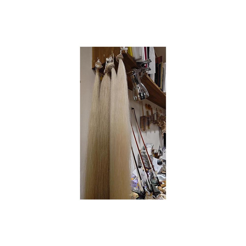 【ふるさと納税】【高島屋選定品】〈Liuteria-TAKADA〉マエストロリュータイオによる弦楽器のためのメンテナンスチケット1万円分［ 弦楽器専門店 メンテナンス チケット 利用券 京都市 マエストロ 楽器 音楽 人気 おすすめ 伝統技術 職人 クラシック ギフト 演奏 高品質］ - 画像3