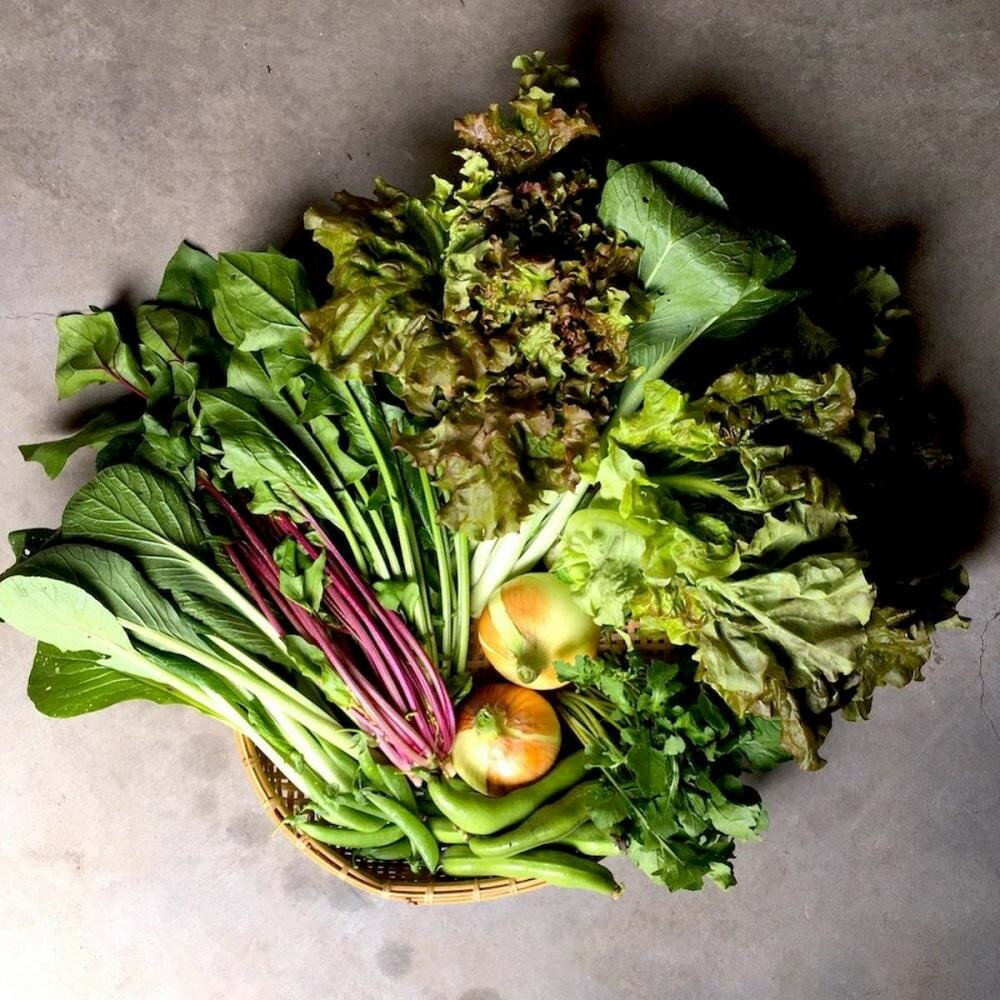 【ふるさと納税】◆全4回定期便◆【つくだ農園】《有機JAS認証 有機野菜10品入り》京都の棚田大原で心を込めて大切に露地栽培された大地の恵みたっぷりの有機野菜!［ 京都 有機野菜 定期便 セット 人気 おすすめ 有機栽培 詰め合わせ 産地直送 新鮮 送料無料 ふるさと納税 ］ - 画像2