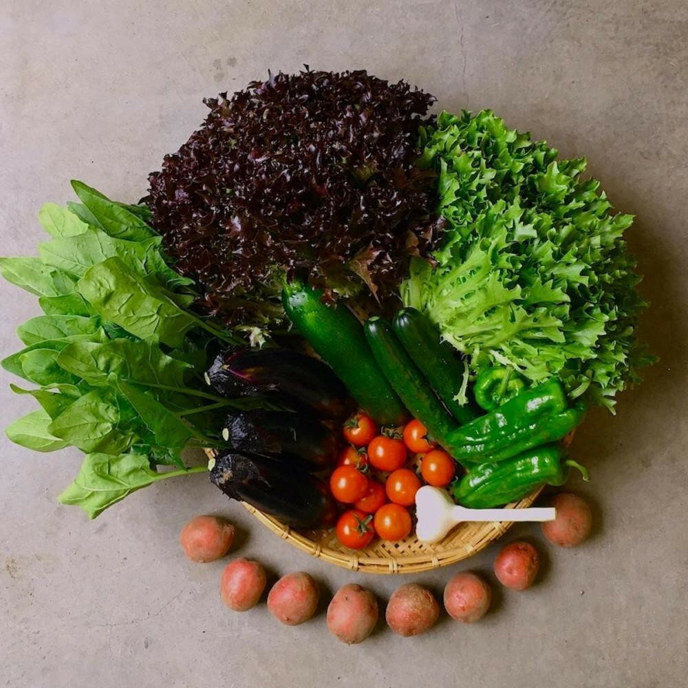 【ふるさと納税】◆全4回定期便◆【つくだ農園】《有機JAS認証 有機野菜10品入り》京都の棚田大原で心を込めて大切に露地栽培された大地の恵みたっぷりの有機野菜!［ 京都 有機野菜 定期便 セット 人気 おすすめ 有機栽培 詰め合わせ 産地直送 新鮮 送料無料 ふるさと納税 ］ - 画像3