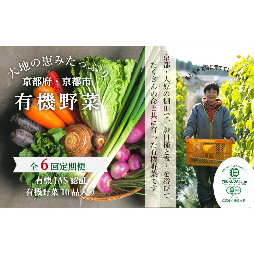 ◆全6回定期便◆【つくだ農園】《有機JAS認証 有機野菜10品入り》京都の棚田大原で心を込めて大切に露地栽培された大地の恵みたっぷりの有機野菜!［ 京都 有機野菜 定期便 セット 人気 有機栽培 おまかせ 詰め合わせ 産地直送 新鮮 送料無料 ふるさと納税 ］