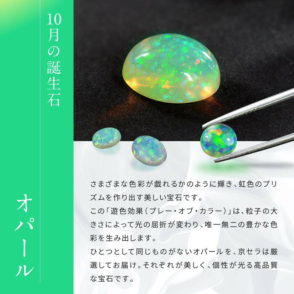 【ふるさと納税】【京セラ】クレサンベール〈オパール〉カフス・タイタック【メンズ/セット/名前彫刻あり】 | メンズ セット 名前彫刻 京都 京都市 アクセサリー ジュエリー 宝石 ギフト 人気 贈り物 ご自宅用 サムネイル2