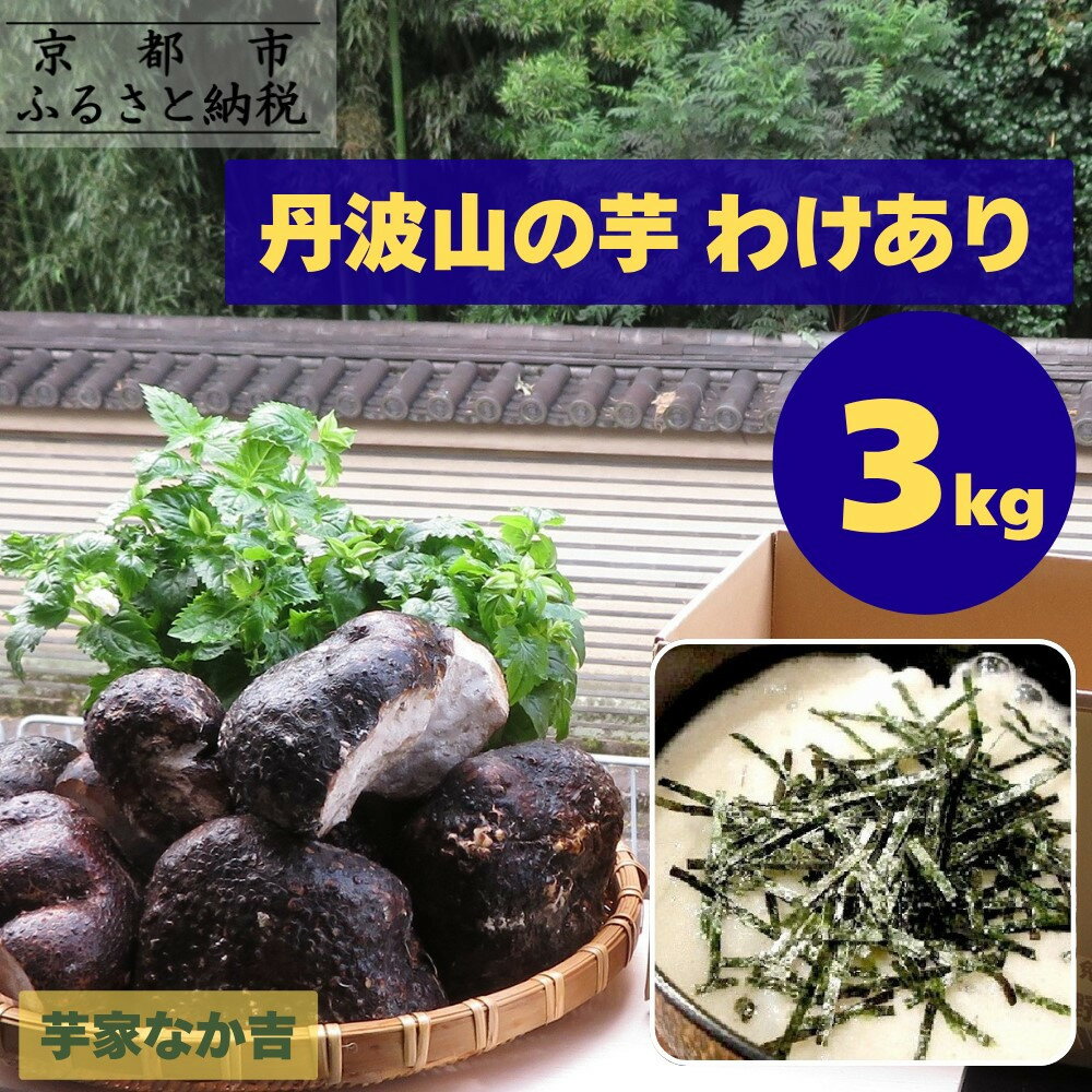 【芋家なか吉】丹波山の芋 わけあり 3キロ 11月収穫のとれたての新芋［ 京都 山の芋専門店 職人 とろろ 芋 いも イモ 野菜 3kg 不揃い 事業者応援品 応援 人気 おすすめ お取り寄せ 通販 送料無料 ふるさと納税 ］