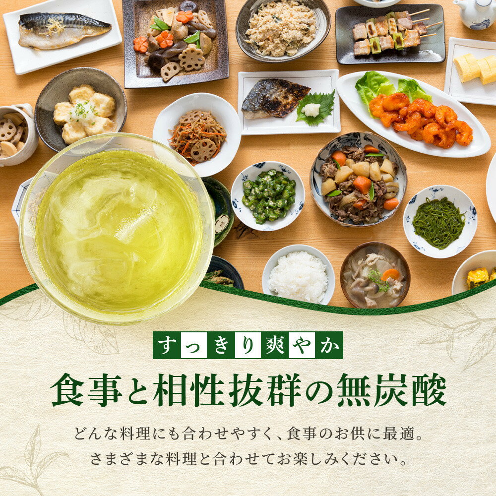 【ふるさと納税】【宝酒造】宝焼酎のやわらかお茶割・濃いお茶割り～カテキン2倍～ 24本セット 335ml 480ml［タカラ 京都 お酒 チューハイ 缶チューハイ 酎ハイ サワー お茶 人気 おすすめ 定番 おいしい ギフト プレゼント 贈答 ご自宅用 お取り寄せ ふるさと納税 ］ - 画像3