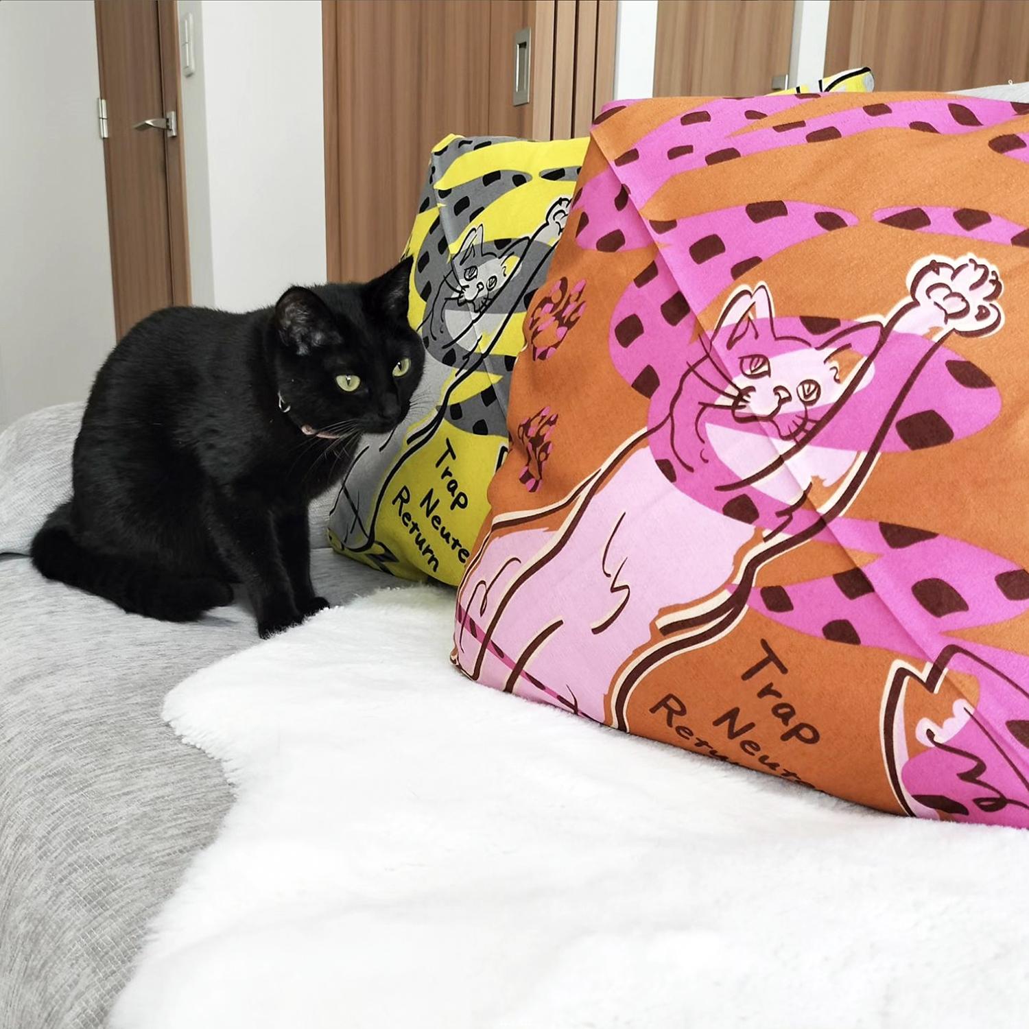 【ふるさと納税】【三陽商事】地域猫活動 綿24幅ふろしき(リアン/イエロー)［ 京都 風呂敷 ふろしき バッグ 人気 おすすめ エコ おしゃれ 収納 お弁当 和柄 お取り寄せ 通販 送料無料 ふるさと納税 ］ - 画像3