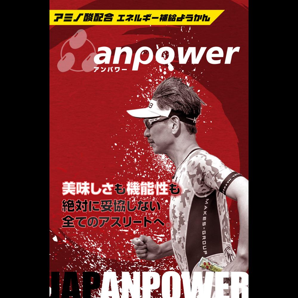 【ふるさと納税】【鼓月】エネルギー補給羊羹 anpower 2箱（5本入×2） | 京都 老舗 和菓子 千寿せんべい 有名店 スポーツ羊羹 人気 おすすめ お菓子 スイーツ 補給食 お取り寄せ 通販 ギフト プレゼント 贈答 - 画像2