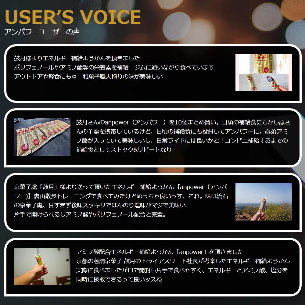 【ふるさと納税】【鼓月】エネルギー補給羊羹 anpower 2箱（5本入×2） | 京都 老舗 和菓子 千寿せんべい 有名店 スポーツ羊羹 人気 おすすめ お菓子 スイーツ 補給食 お取り寄せ 通販 ギフト プレゼント 贈答 - 画像3