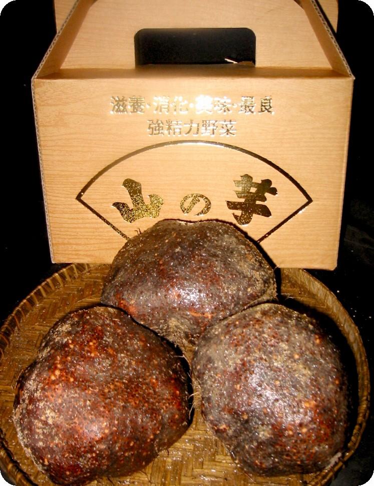 【ふるさと納税】【芋家なか吉】プレミアム丹波山の芋特選品1.5kg［ 京都 芋 いも イモ 新鮮 野菜 人気 おすすめ お取り寄せ 通販 ふるさと納税 ］ | とれたて 11月 京都 京都市 やまいも ギフト 贈り物 贈答 おいしい おすすめ 人気 イモ 芋 いも - 画像2