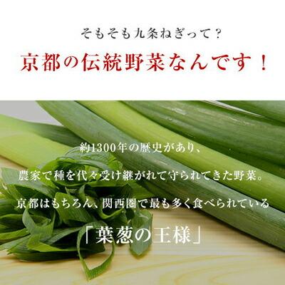 【ふるさと納税】〈こと京都（本社）〉九条ねぎカット食べ比べセット＜鍋仕様＞ | 京都府 京都市 京都 九条ねぎ ねぎ 食べ比べ セット 鍋 各500g 逸品 お取り寄せ お土産 ご当地 ご家庭用 ご自宅用 こと京都 5000円 - 画像3