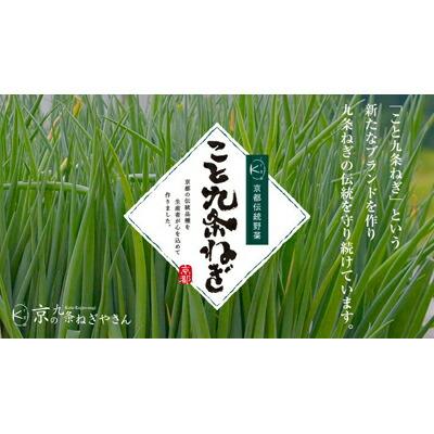 【ふるさと納税】【こと京都】九条ねぎカット食べ比べセット(厳選)［ 京都 野菜 京野菜 葱 ねぎ ネギ ご当地 人気 おすすめ 定番 セット おいしい ご自宅用 お取り寄せ 通販 送料無料 ふるさと納税 ］ | 九条ねぎ 食べ比べ 各500g 逸品 お土産 ご家庭用 5000円 サムネイル2