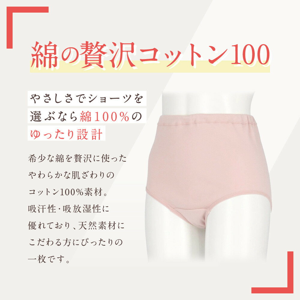 【ふるさと納税】【ワコール】ウイング ショーツ 身生地部綿100％(はきこみ丈ふかめ)＜綿の贅沢コットン100＞《サイズ・カラー選択可能》｜Wacoal インナーウェア 人気ブランド 下着 肌着 - 画像2