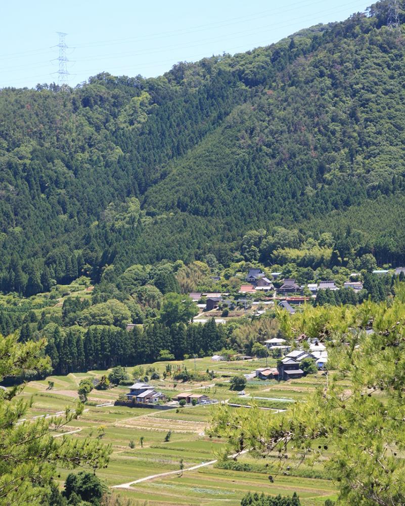 【ふるさと納税】【越畑フレンドパーク　まつばら】純米吟醸「越畑」4合瓶・2本セット | 京都 酒 日本酒 純米吟醸 720ml×2 逸品 お取り寄せ ご当地 ギフト お祝い 内祝い 越畑フレンドパーク 京都府 京都市 サムネイル3