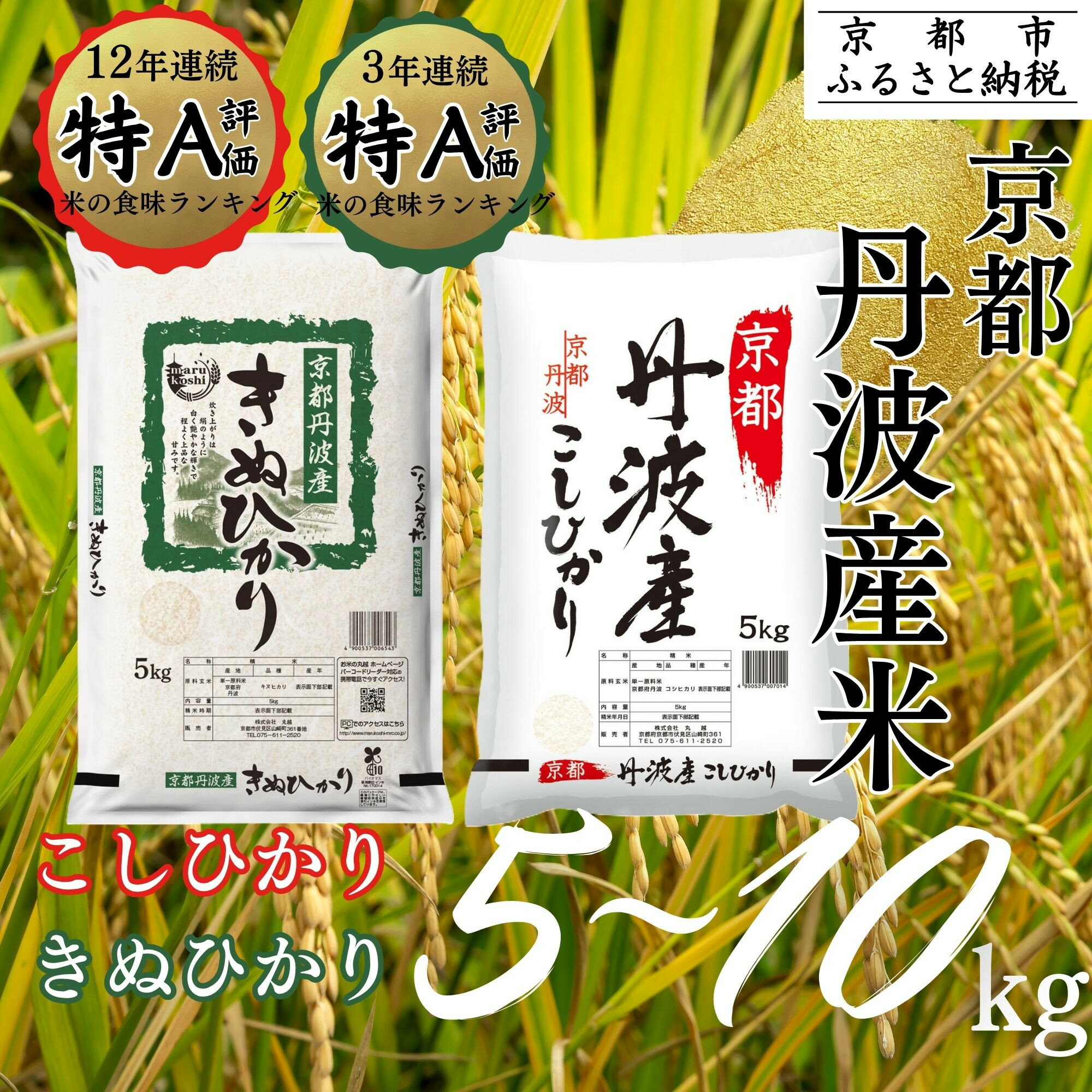 ＜令和7年産＞【丸越】京都丹波産 精米 選べる 5kg～10kg［ 京都 丹波産 こしひかり きぬひかり 精米 令和7年産 特A評価 おいしい 人気 おすすめ 米 コメ お取り寄せ 通販 送料無料 ふるさと納税 ］