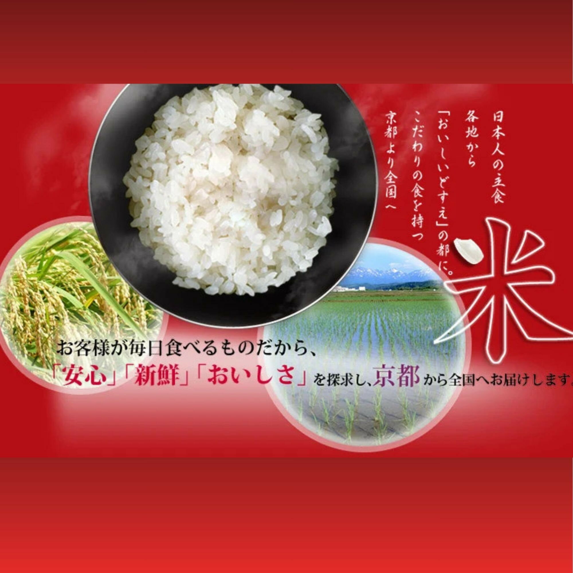 【ふるさと納税】＜令和7年産＞【丸越】京都丹波産 精米 選べる 5kg～10kg［ 京都 丹波産 こしひかり きぬひかり 精米 令和7年産 特A評価 おいしい 人気 おすすめ 米 コメ お取り寄せ 通販 送料無料 ふるさと納税 ］ - 画像3