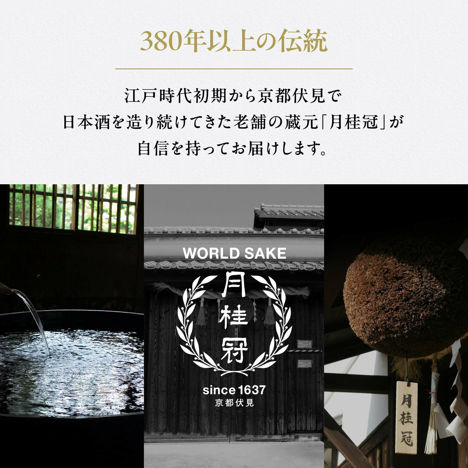 【ふるさと納税】【月桂冠】山田錦純米パック900mL×6本｜京都 月桂冠 日本酒 人気セット[ 鮮烈なキレ 豊かなコク 山田錦5割超 純米酒 紙パック お酒 日本酒 晩酌 日常使い ご自宅用 人気 おすすめ ギフト プレゼント お取り寄せ 通販 送料無料 ふるさと納税］ サムネイル3