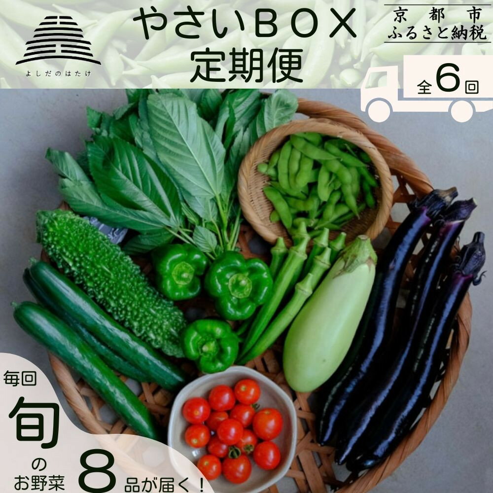 ＜定期便6回＞【よしだのはたけ】旬の野菜8品 やさいBOX｜京都 京北 農家直送 野菜 人気セット | 旬のお野菜 新鮮 おまかせセット 美味しい 産地直送 野菜詰め合わせ 野菜セット 野菜定期便 人気 おすすめ ギフト プレゼント お取り寄せ 通販