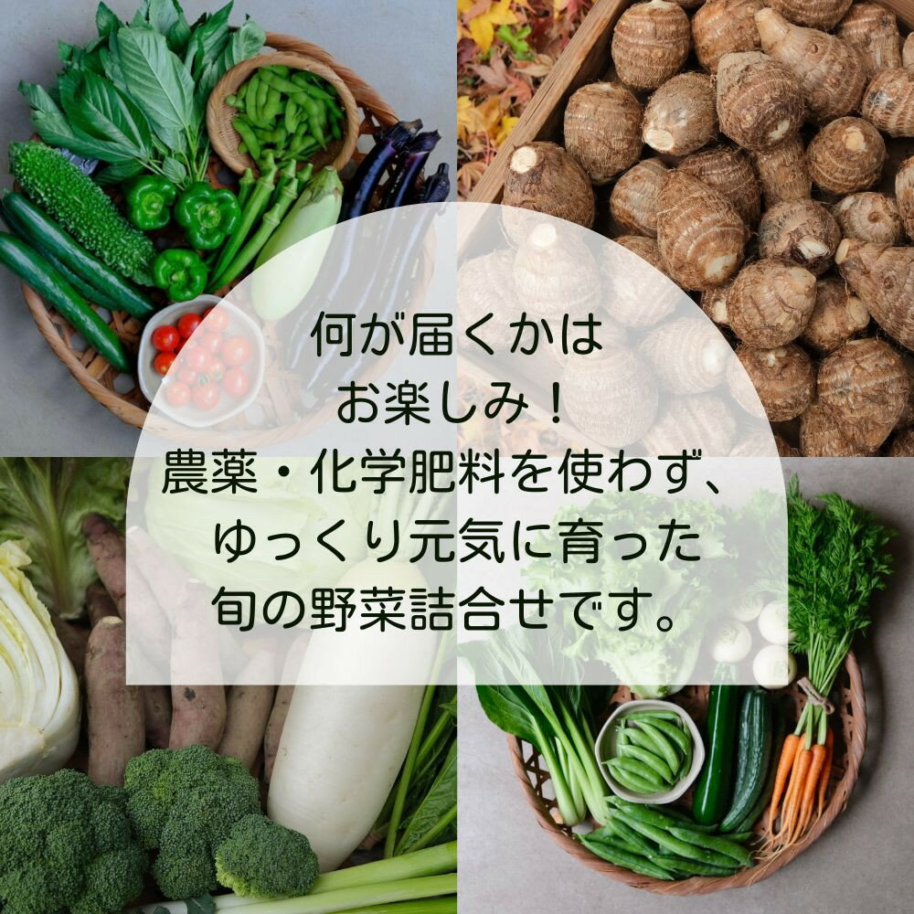 【ふるさと納税】＜定期便6回＞【よしだのはたけ】旬の野菜8品 やさいBOX｜京都 京北 農家直送 野菜 人気セット | 旬のお野菜 新鮮 おまかせセット 美味しい 産地直送 野菜詰め合わせ 野菜セット 野菜定期便 人気 おすすめ ギフト プレゼント お取り寄せ 通販 - 画像2