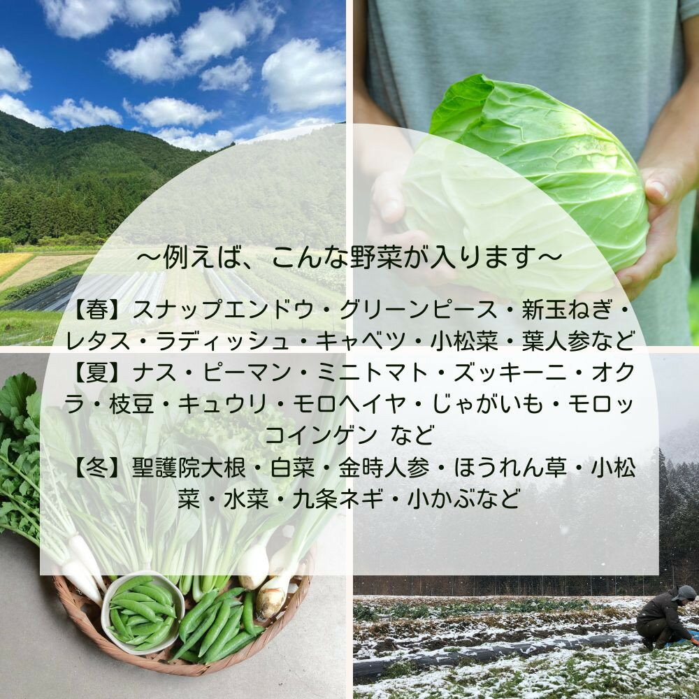 【ふるさと納税】＜定期便6回＞【よしだのはたけ】旬の野菜8品 やさいBOX｜京都 京北 農家直送 野菜 人気セット | 旬のお野菜 新鮮 おまかせセット 美味しい 産地直送 野菜詰め合わせ 野菜セット 野菜定期便 人気 おすすめ ギフト プレゼント お取り寄せ 通販 - 画像3
