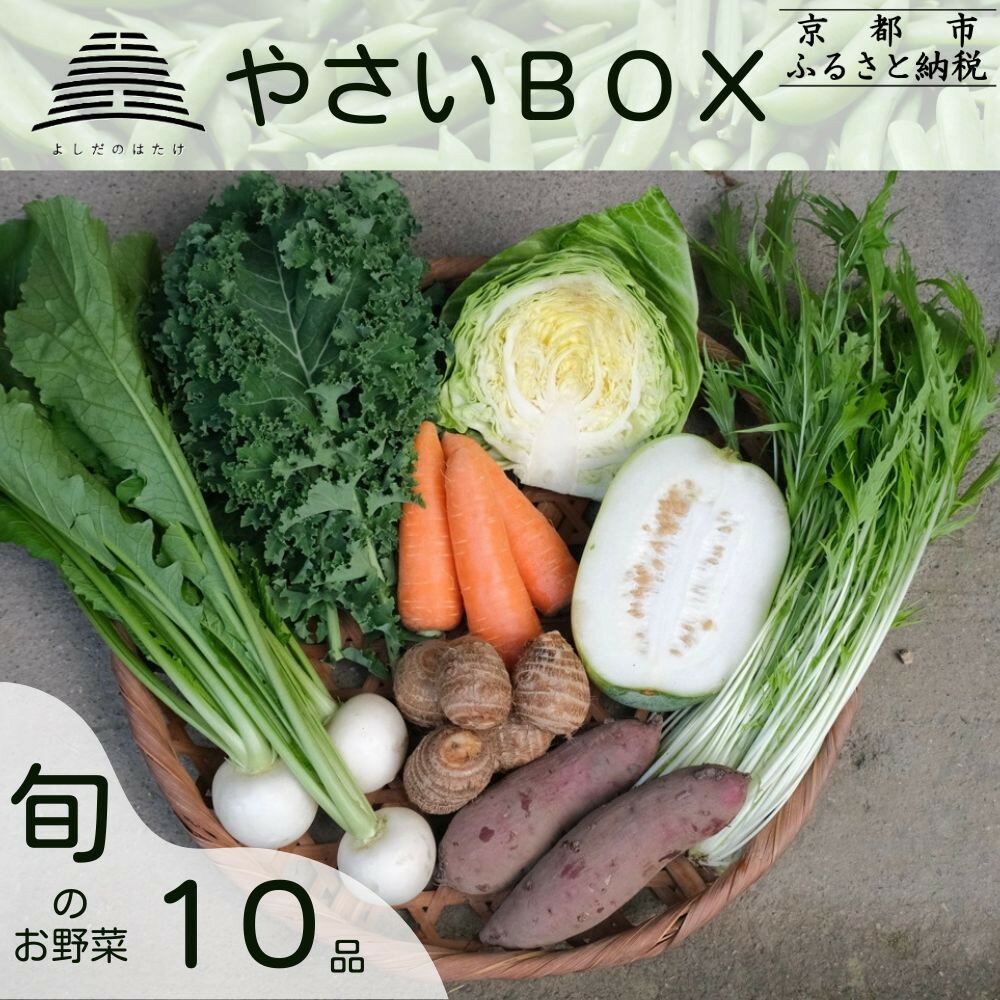 【よしだのはたけ】旬の野菜10品 やさいBOX｜京都 京北 農家直送 野菜 人気セット [ 旬のお野菜 新鮮 おまかせセット 美味しい 産地直送 野菜詰め合わせ 野菜セット 人気 おすすめ ギフト プレゼント お取り寄せ 通販 送料無料 ふるさと納税 ]
