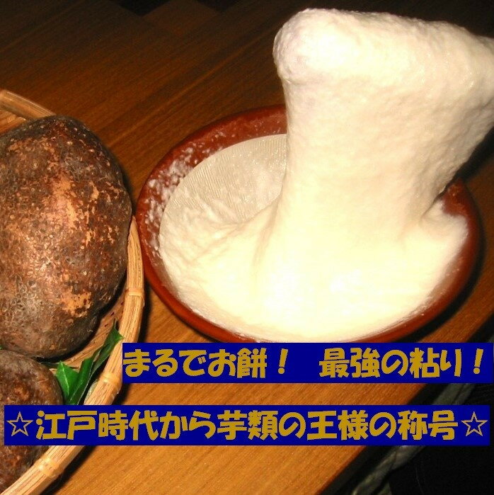 【ふるさと納税】【芋家なか吉】スペシャル丹波山の芋☆二刀流☆セット (11月収穫プレミアム特選品つくね芋)｜京都 人気 やまいも［ 京都 山の芋専門店 職人 とろろ 芋 いも イモ 野菜 3kg 人気 おすすめ お取り寄せ 通販 送料無料 ふるさと納税 ］ - 画像2