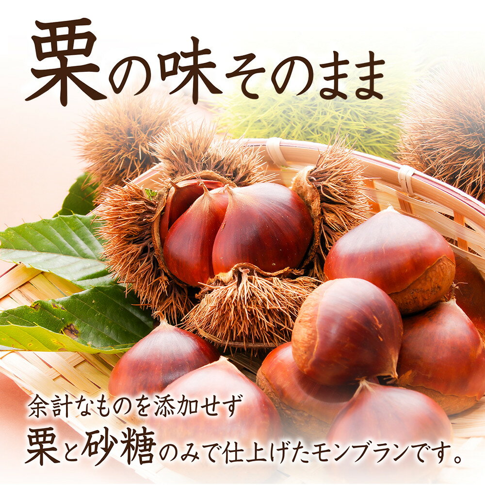【ふるさと納税】【吟匠庵】栗糸モンブラン 栗、いとをかし 選べる2種類 プレーン・抹茶｜京都 スイーツブランド 大人気スイーツ レビュー高評価 | 極細栗糸モンブラン 抹茶スイーツ 栗 マロン 贅沢 おいしい グルメ おしゃれ 人気 おすすめ お菓子 ケーキ ギフト プレゼント - 画像3