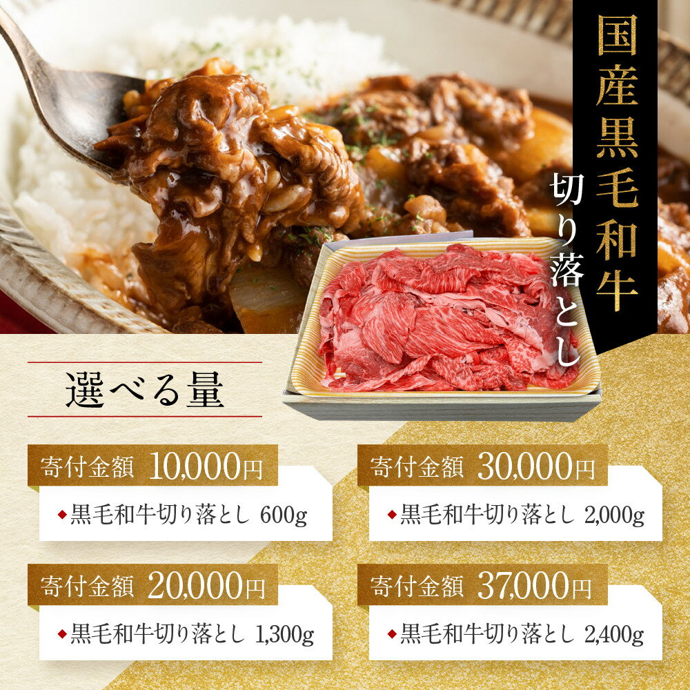 【ふるさと納税】厳選国産和牛 切り落とし 500g～2400g｜京都モリタ屋 老舗牛肉専門店 有名店 レビュー高評価 人気セット［ 明治二年創業 歴史と伝統 牛肉切り落とし グルメ 焼肉 しゃぶしゃぶ カレー 肉じゃが お取り寄せ 通販 送料無料 ］ - 画像3