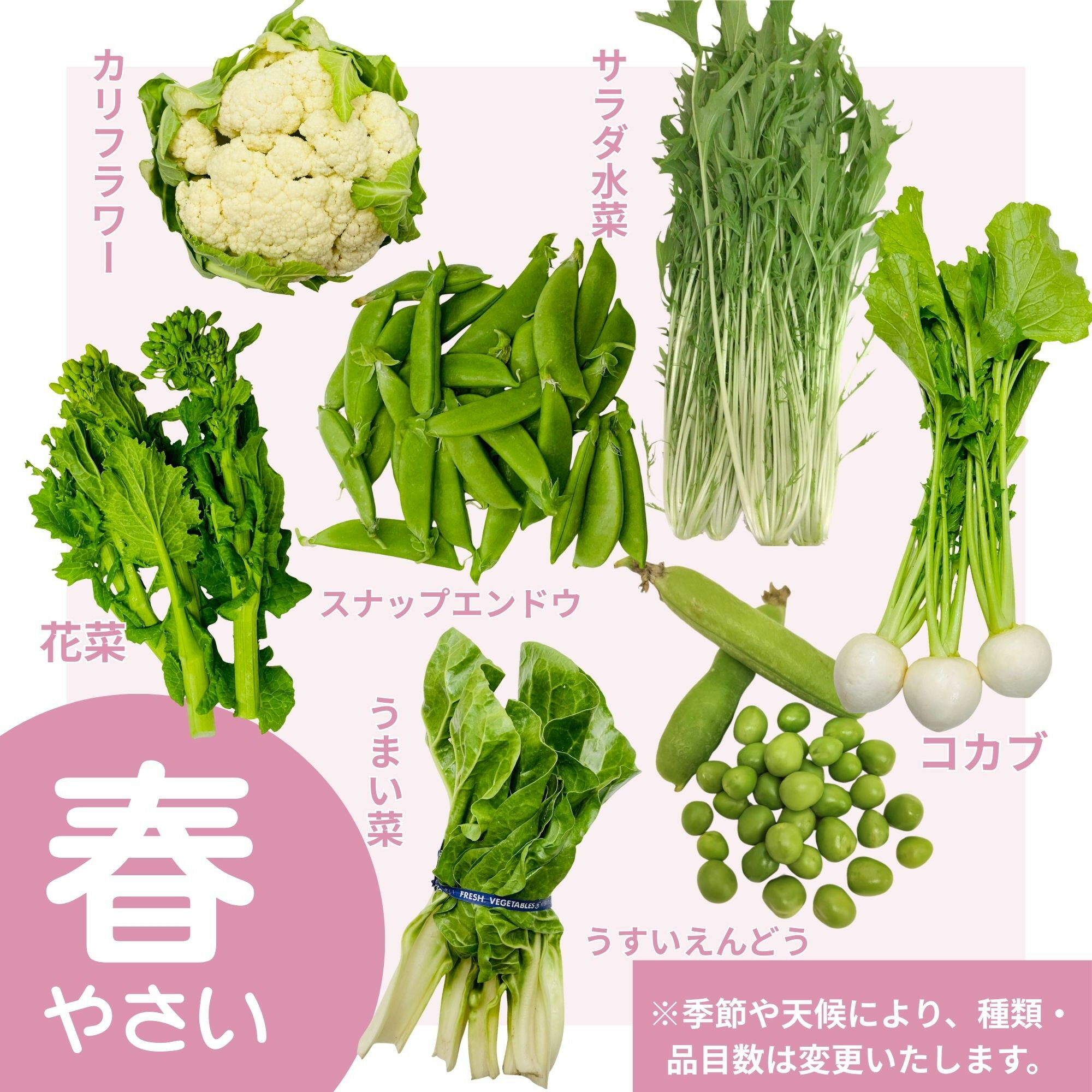 【ふるさと納税】野菜 詰め合わせ 京野菜 6-9品目程度 冷蔵 セット 産地 直送 京都 鍋 サラダ 味噌汁 旬 ギフト お取り寄せ 農家 珍しい 【じねんと市場】 - 画像3