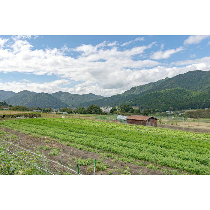 【ふるさと納税】【つくだ農園】京都大原の里山から！旬の有機野菜BOXとジャムセット - 画像2