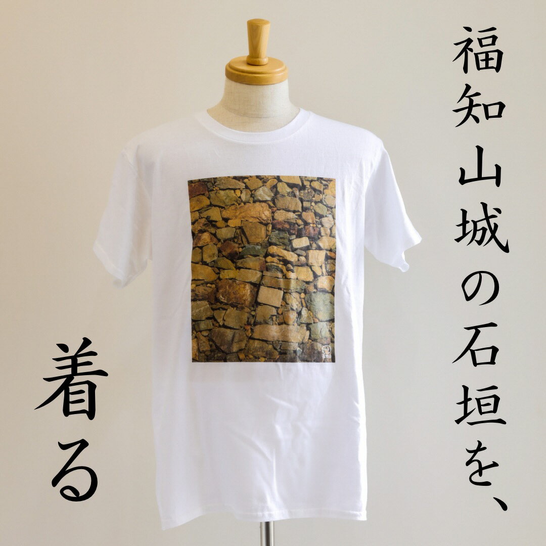 【ふるさと納税】 ＜福知山市公式＞福知山城の石垣Tシャツ＜ふるさと納税限定＞Mサイズ ふるさと納税 福知山市公式 福知山城 石垣 Tシャツ Mサイズ 京都府 福知山市 ふるさと FCY002 サムネイル2