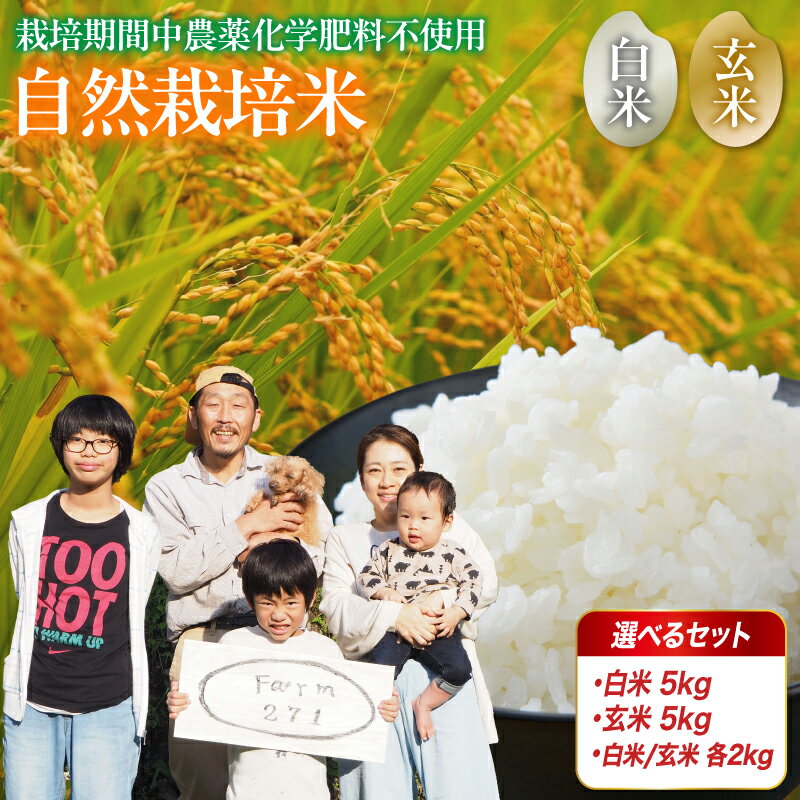 令和7年度産 自然栽培米 こしひかり 5kg/4kg （2kg×2） 白米/玄米 選べる 容量 精米方法 お米 コシヒカリ 京都産 舞鶴産 舞鶴コシヒカリ 舞鶴米 精米 米 農家直送 コメ ご飯 健康 農業 農家直送 京都 舞鶴 舞鶴市 ファーム271