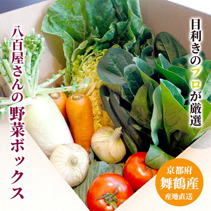 【ふるさと納税】季節の野菜セット 6〜8種類 京都府舞鶴産 野菜BOX 詰め合わせ（1回 / 4回定期便）産地直送 冷蔵 - 画像2