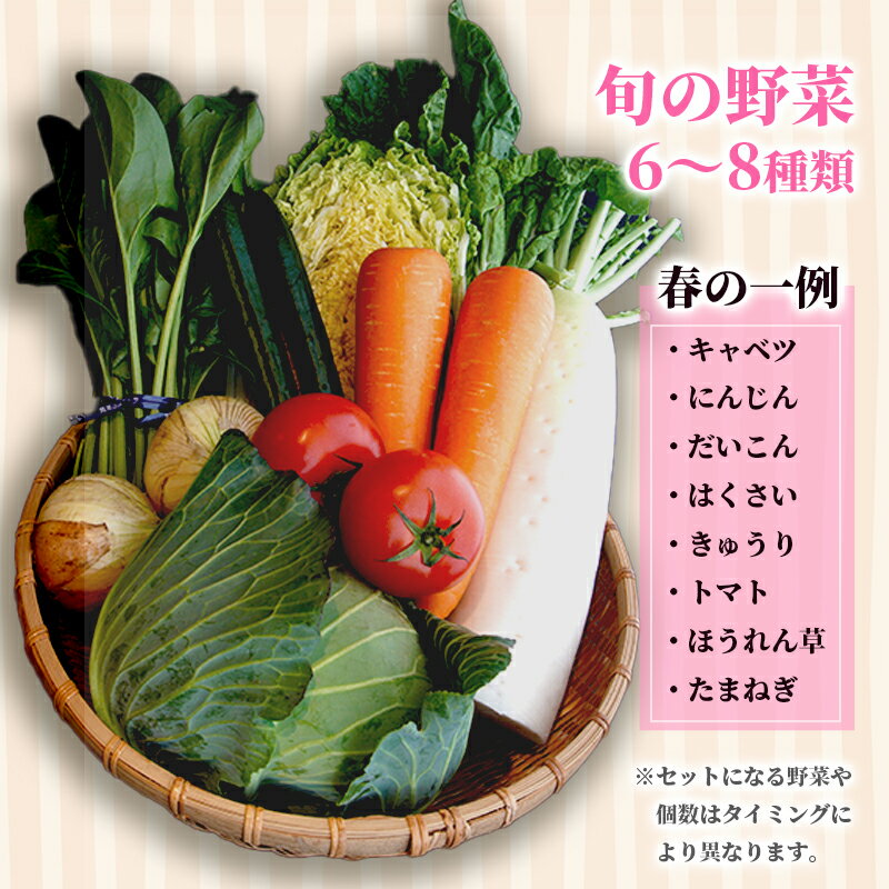 【ふるさと納税】季節の野菜セット 6〜8種類 京都府舞鶴産 野菜BOX 詰め合わせ（1回 / 4回定期便）産地直送 冷蔵 - 画像3