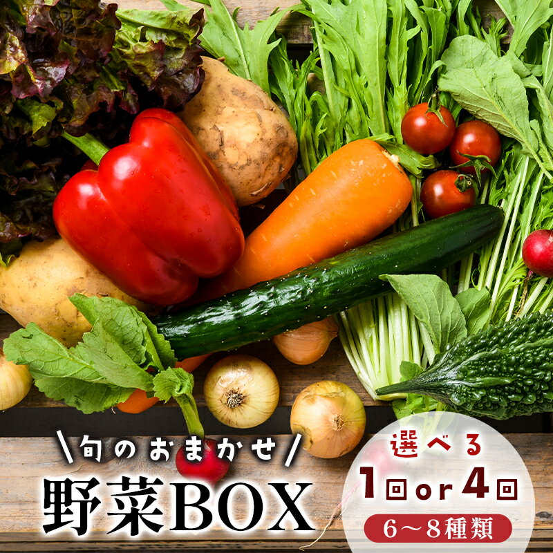季節の野菜セット 6〜8種類 京都府舞鶴産 野菜BOX 詰め合わせ（1回 / 4回定期便）産地直送 冷蔵