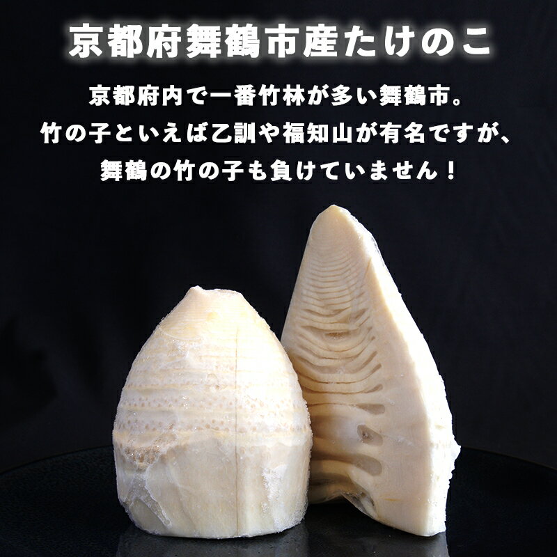 【ふるさと納税】冷凍たけのこ 1kg 国産 下処理済（ボイル・あく抜き）個包装 京都府舞鶴産 筍 - 画像2