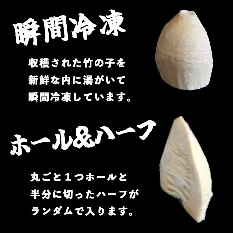 【ふるさと納税】冷凍たけのこ 1kg 国産 下処理済（ボイル・あく抜き）個包装 京都府舞鶴産 筍 - 画像3