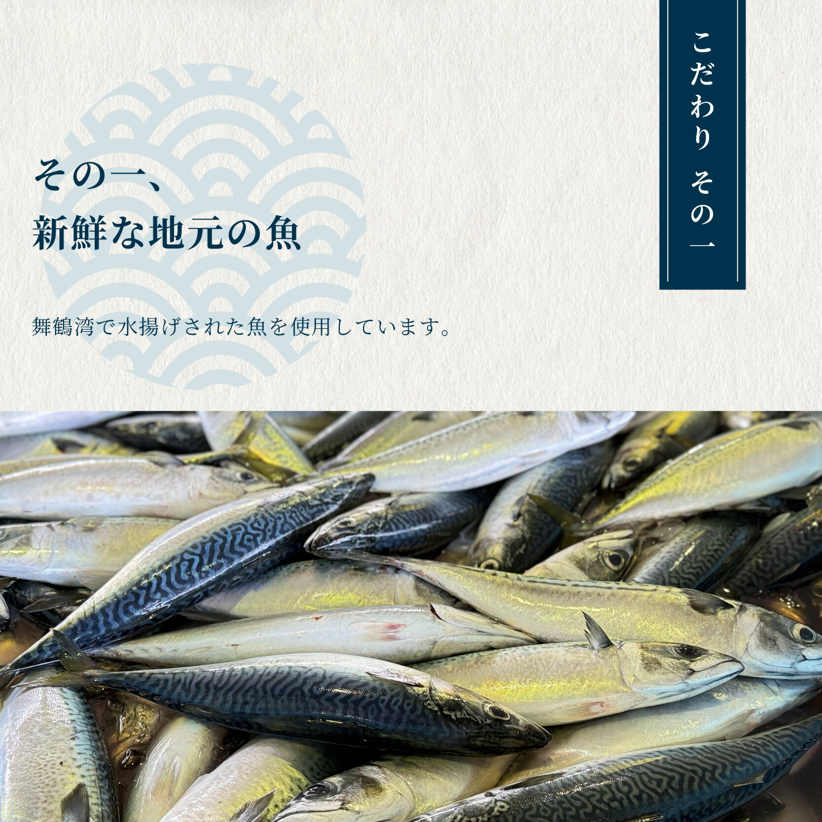 【ふるさと納税】【訳あり】 干物 約2.8kg 3〜5種類 セット 塩のみで製造 詰め合わせ 冷凍 カレイ あじ サバ イサキ トビウオ 鯛 タイ ひもの 不揃い おすすめ お取り寄せ 魚 冷凍 新鮮 海鮮 京都府 舞鶴市 サムネイル2