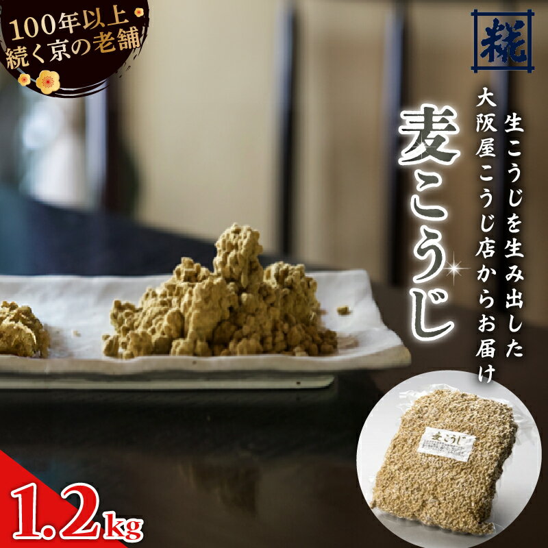 麦こうじ 1升 （1.2kg） ： 麦麹 米麹 麹 生こうじ 麦生こうじ 生麹 米麹 手作り 塩麹 味噌 糀味噌 麦みそ 麦味噌 こうじ味噌 麹甘酒 甘酒 和食 発酵食品 味噌づくり 自家製 食品添加物 無添加 冷蔵 京都府 舞鶴市 大阪屋こうじ店 京 老舗 京都 舞鶴