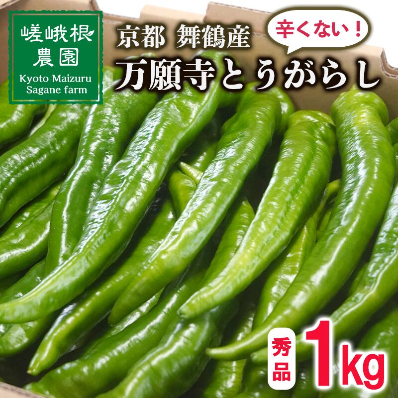 【5月中旬〜11月下旬発送】 万願寺 とうがらし 1kg 秀品 辛くない 美味しい おいしい 肉厚 甘い 旬 採れたて 箱入り 伝統野菜 バーベキュー BBQ 野菜 夏野菜 農家 産地 直送 万願寺とうがらし 唐辛子 規格外 京都 舞鶴