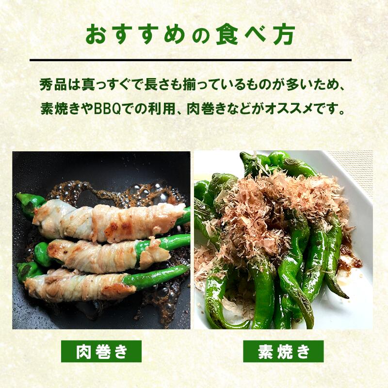 【ふるさと納税】 【5月中旬〜11月下旬発送】 万願寺 とうがらし 1kg 秀品 辛くない 美味しい おいしい 肉厚 甘い 旬 採れたて 箱入り 伝統野菜 バーベキュー BBQ 野菜 夏野菜 農家 産地 直送 万願寺とうがらし 唐辛子 規格外 京都 舞鶴 - 画像3